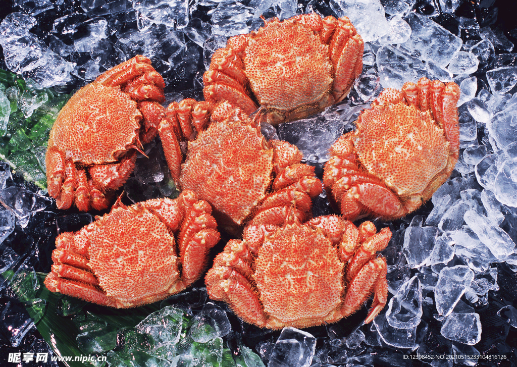 海蟹