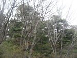 华山