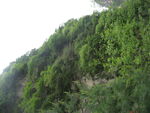 华山