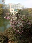 无锡蠡园