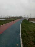 彩虹跑道