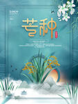 中国风芒种主题字海报