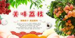 荔枝海报
