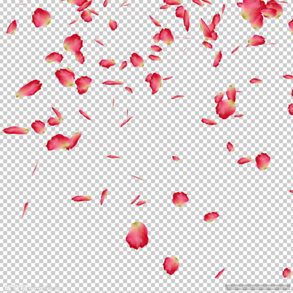 花瓣