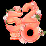  表白520