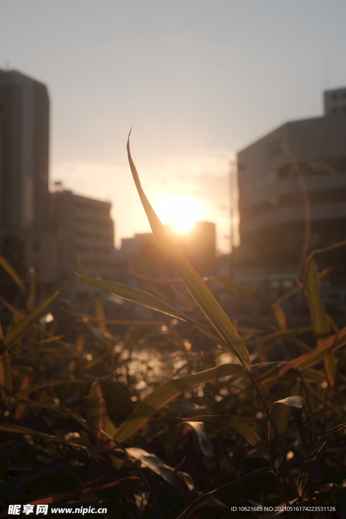 阳光             