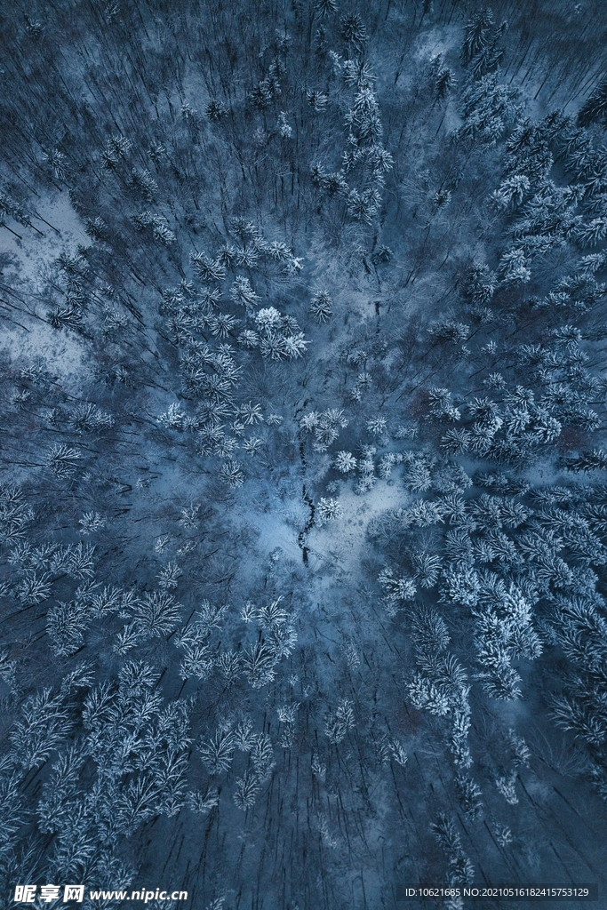 纹理背景           