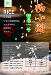 水稻标签