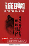 招聘海报psd