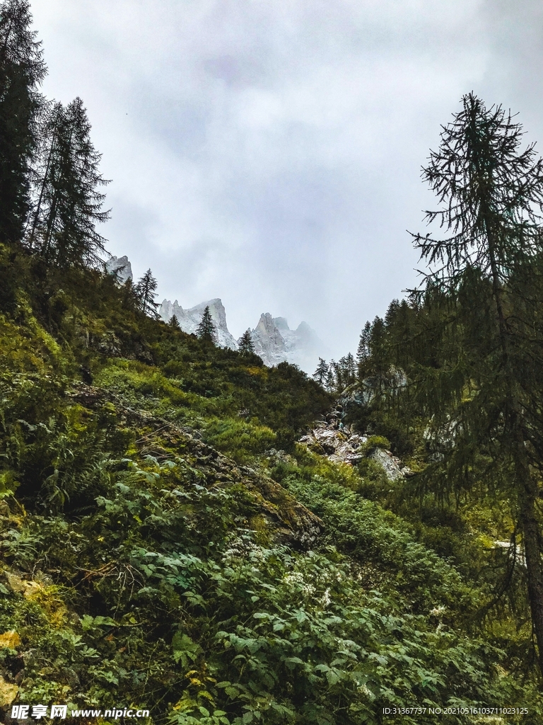 风景