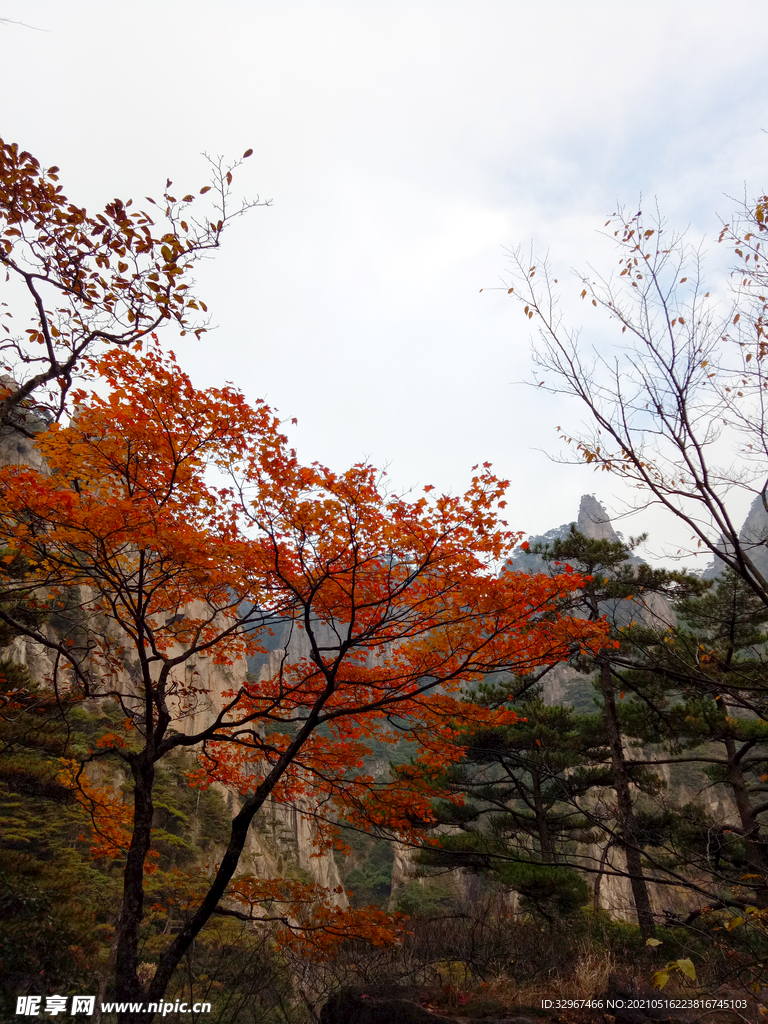 安徽黄山