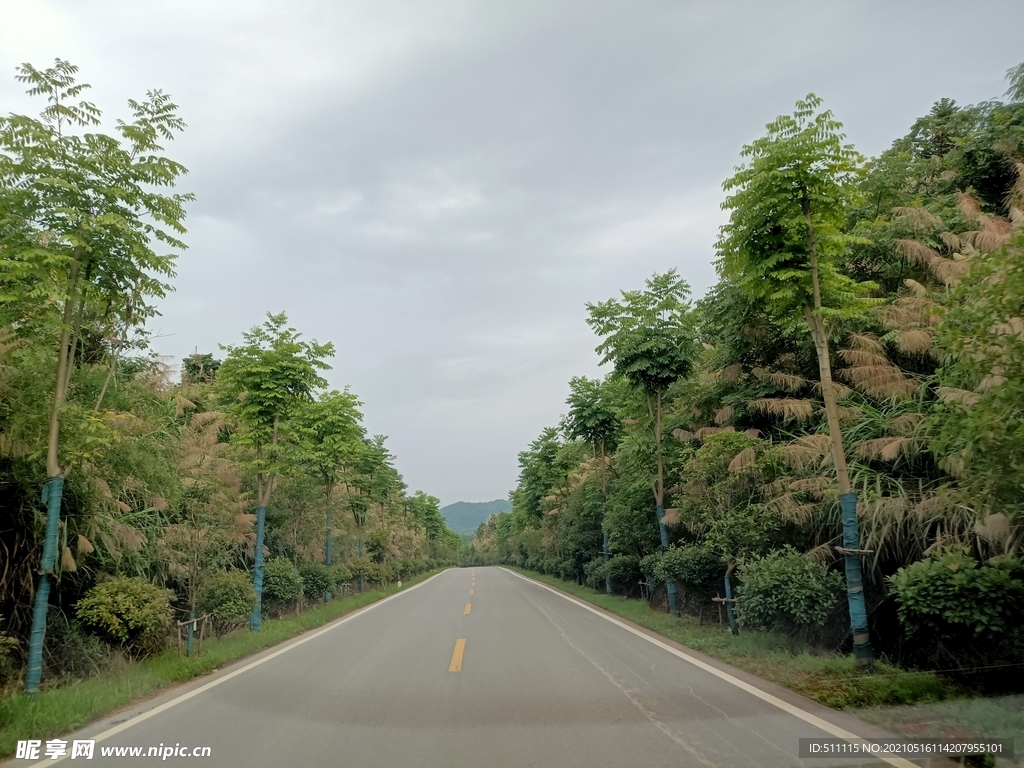 乡村公路