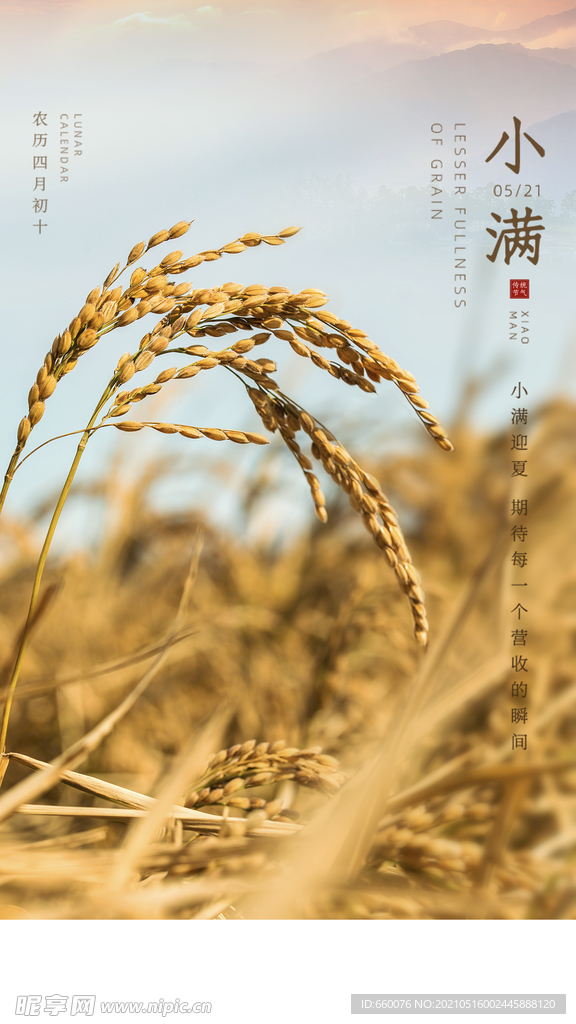 小满  