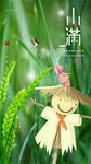 小满  