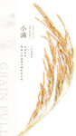 小满  