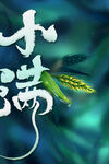 小满  