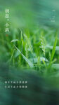 小满  