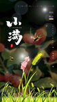 小满  