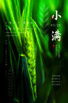 小满  