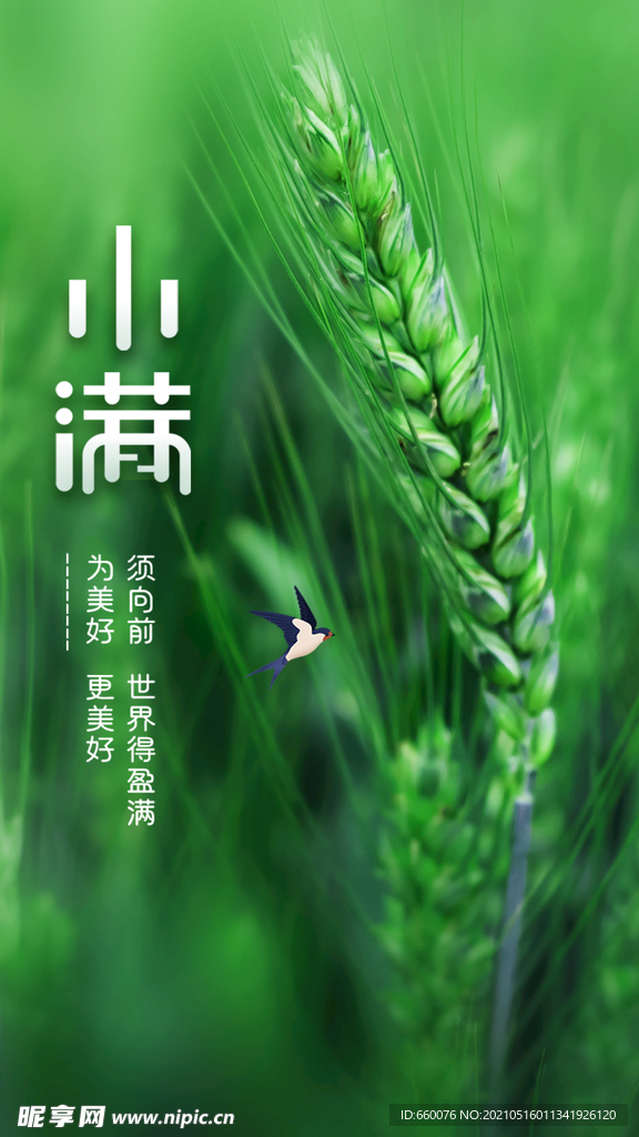 小满  