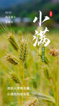 小满  