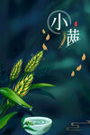 小满  