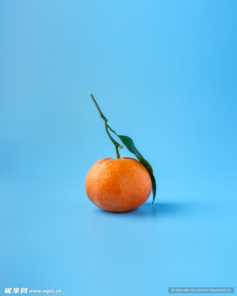 橙子             