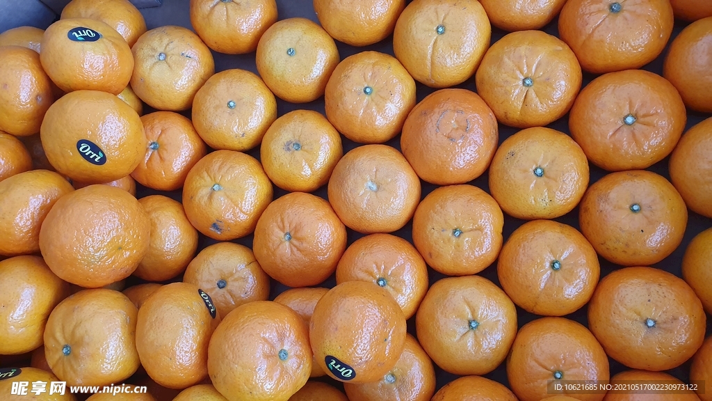 橙子             