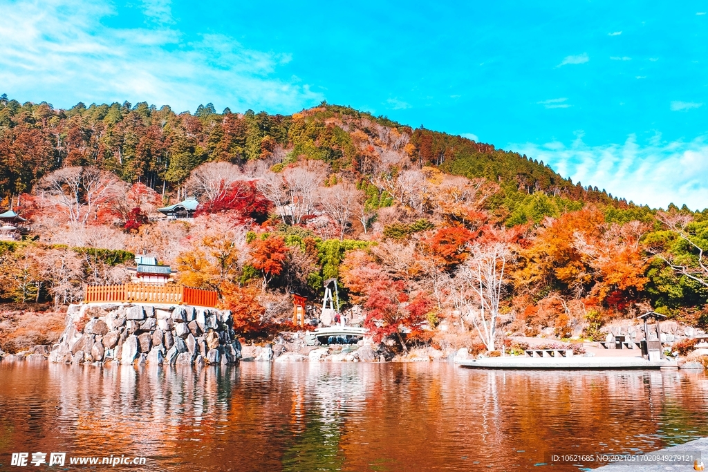 枫叶             