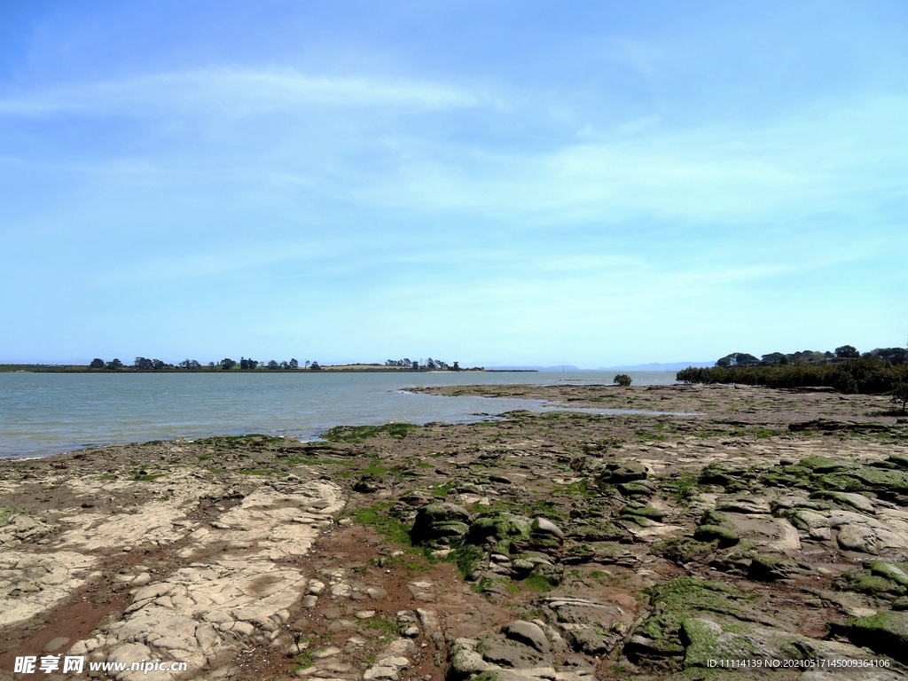 奥克兰海滨自然风景