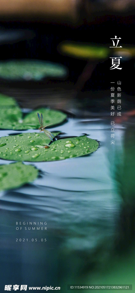 立夏节气海报