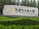 大运河森林公园