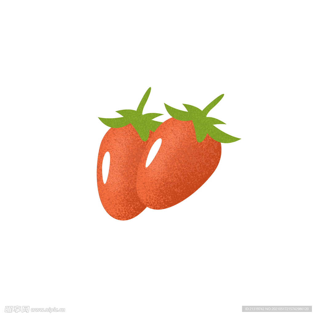 成熟枸杞矢量插画