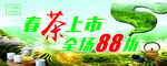 春茶上新