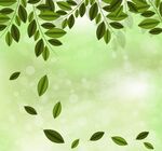 植物叶片模板