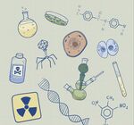 生物勾勒背景
