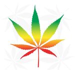 绿色大麻叶