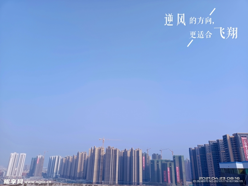 城市