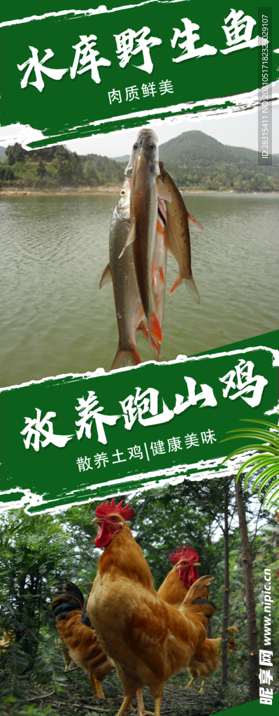 特色菜海报