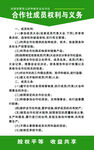 合作社制度 