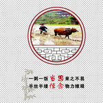 光盘行动