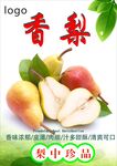 梨海报