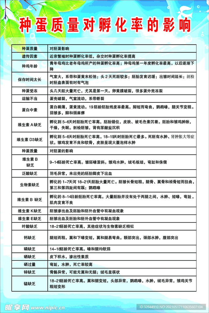 种蛋孵化