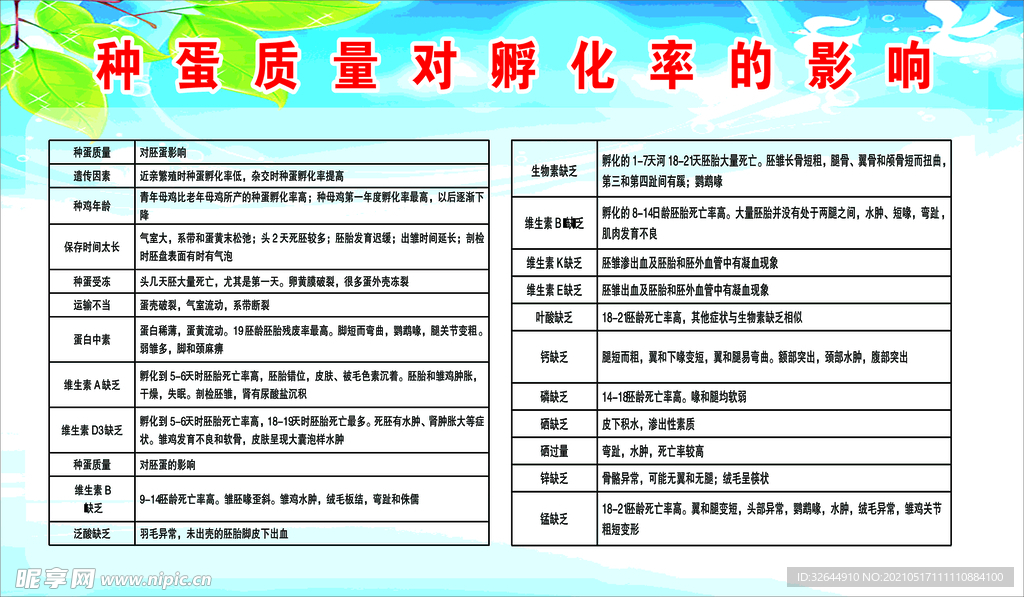 种蛋孵化
