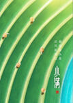 小满节日海报绿色插画简约大气