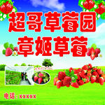 草莓园