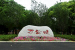 吴江万公堤公园