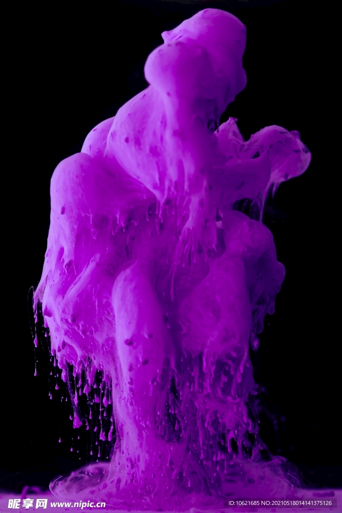 水母             