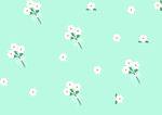 小花