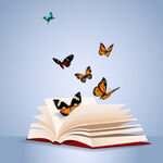 蝴蝶与书本